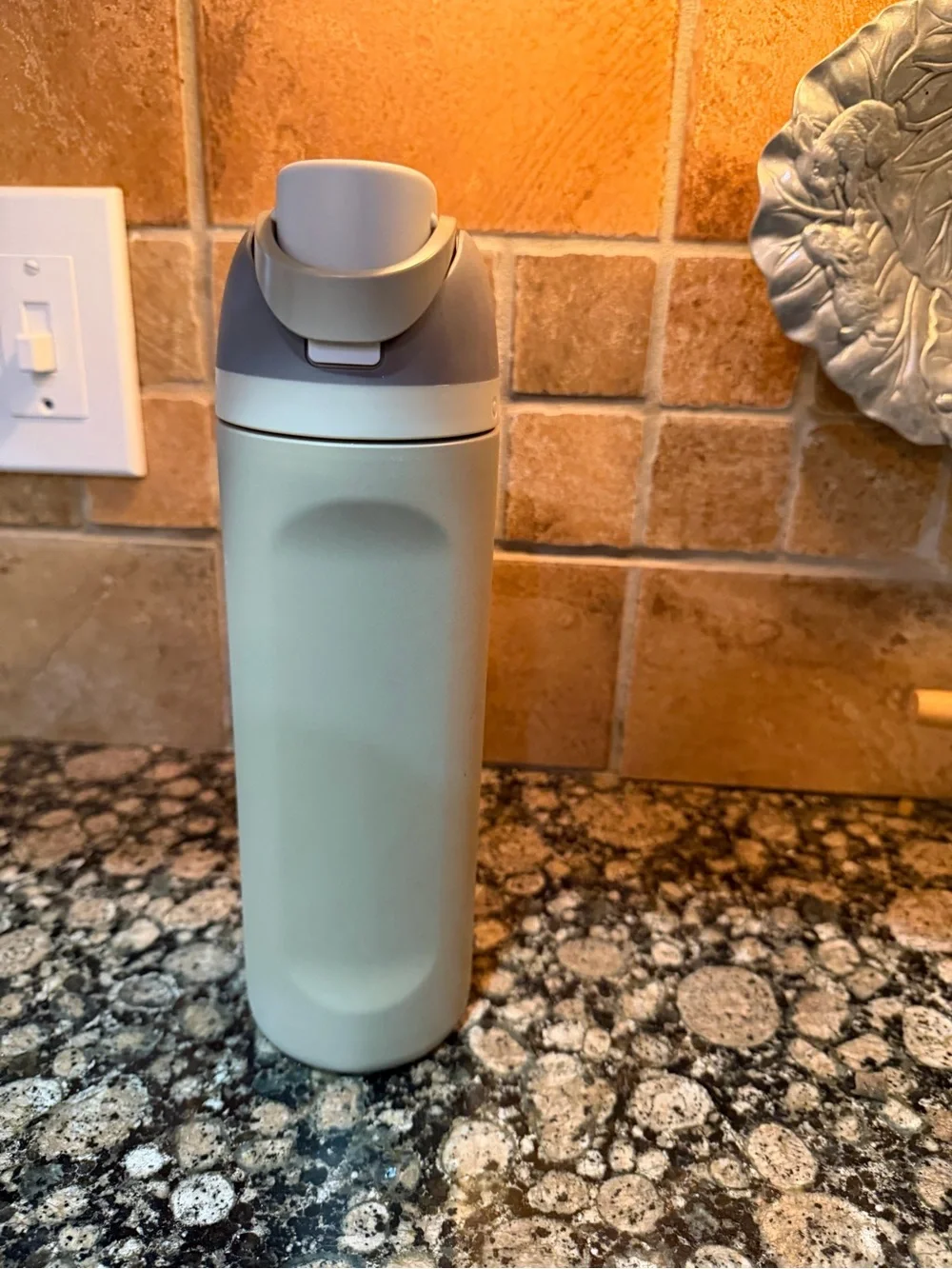 Owala Sage Green Stainless Steel Water Bottle with Gray Flip Lid